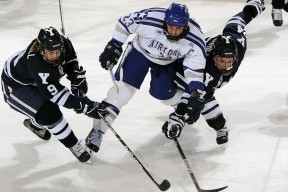 开云体育登录-篮网决胜局带走猛龙，草根逆袭与战术革命的终极交响